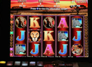 k·yun新网站登录下载app2024最新版